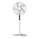 206046420-1969019644